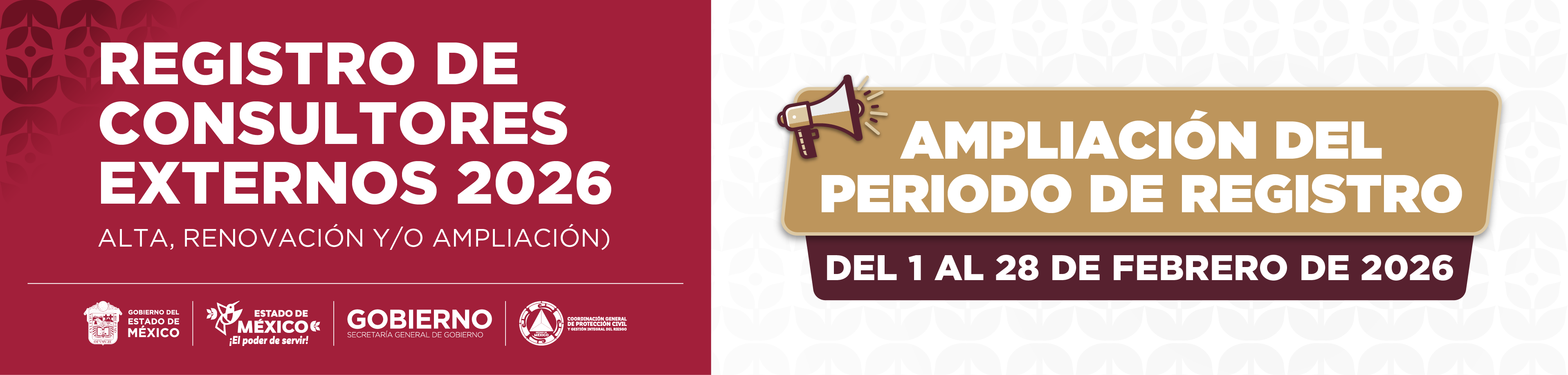 CONSULTORES AMPLIACION